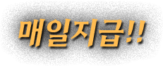 매일지급!